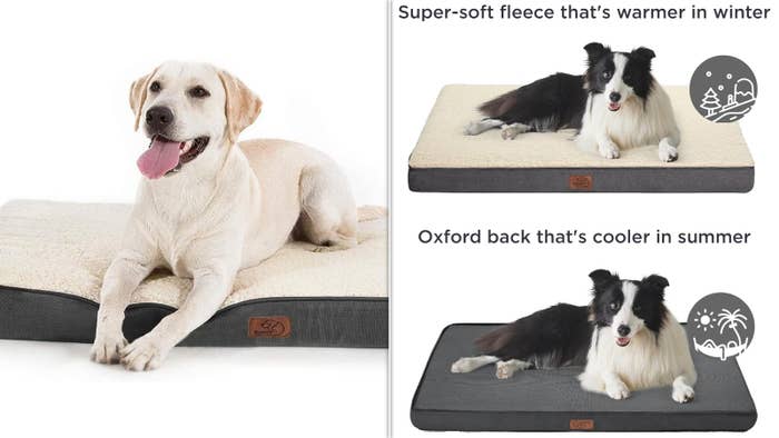 Two dogs connected  reversible favored  beds; 1  has a fleece broadside  for winter, the different   an Oxford broadside  for summer. Diagrams amusement   seasonal suitability