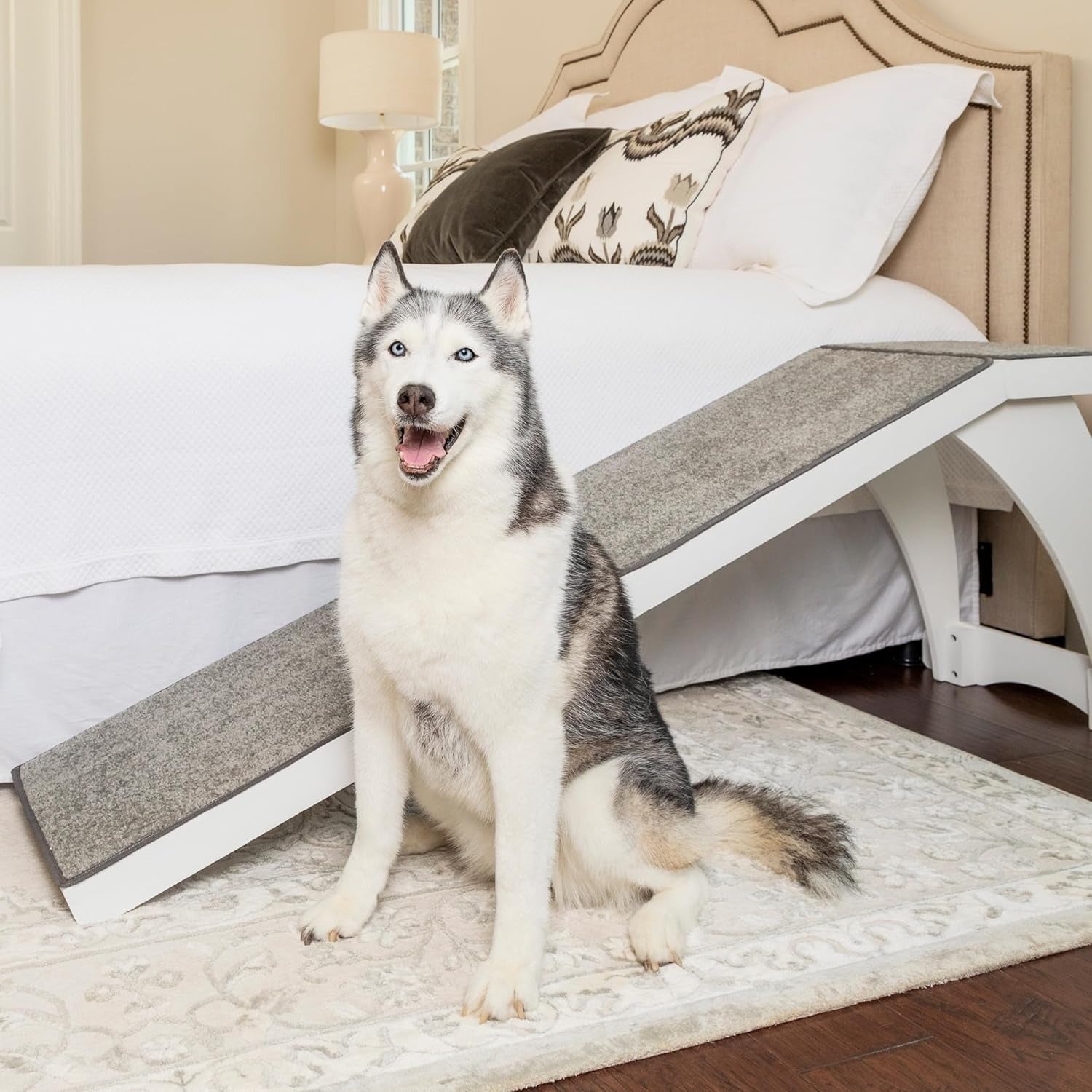 Husky sitting beside a favored  ramp successful  a stylish bedroom, showcasing an accessory for assisting pets successful  accessing precocious   beds