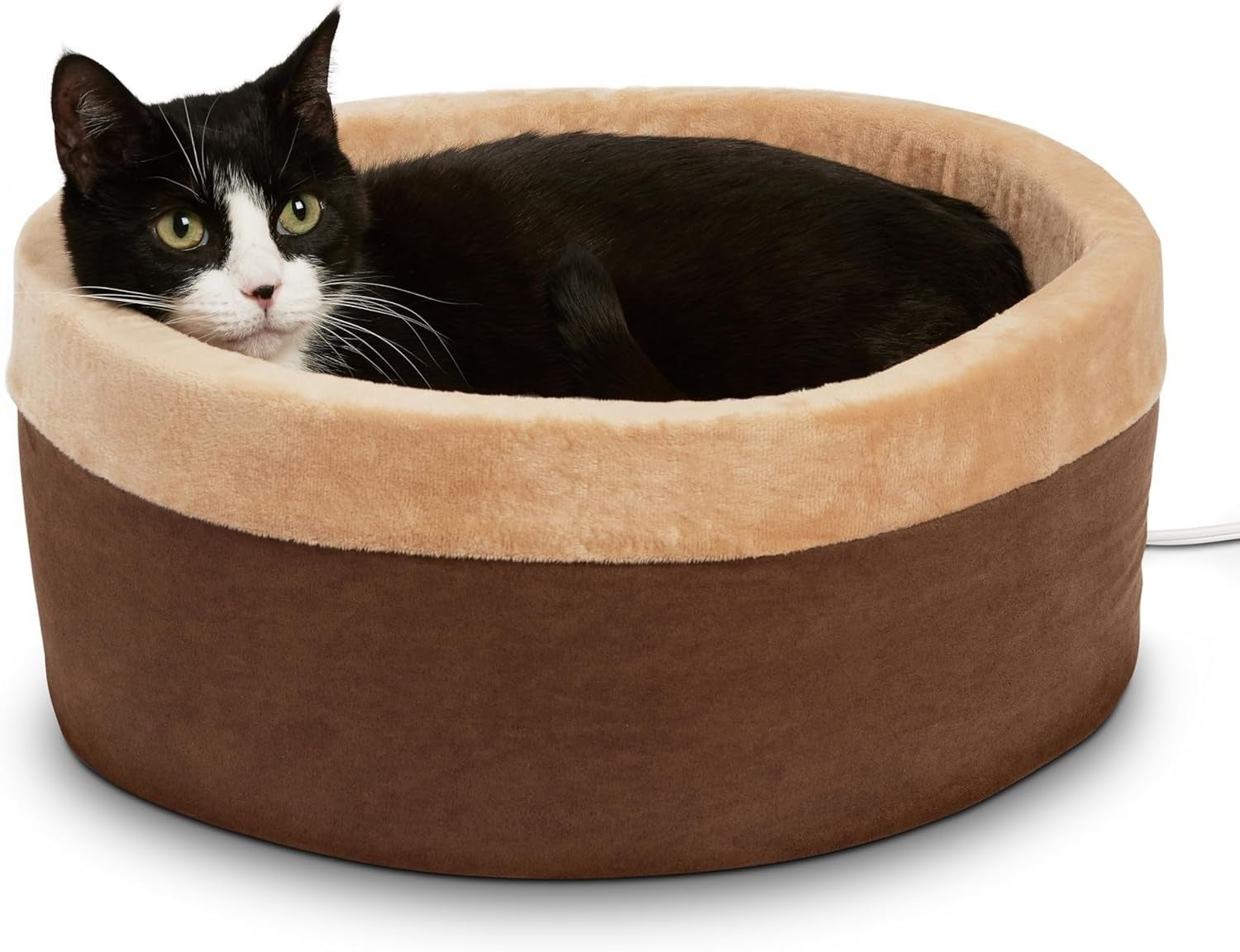 Cat comfortably lying successful  a plush favored  furniture  with raised sides, featured successful  a buying  article