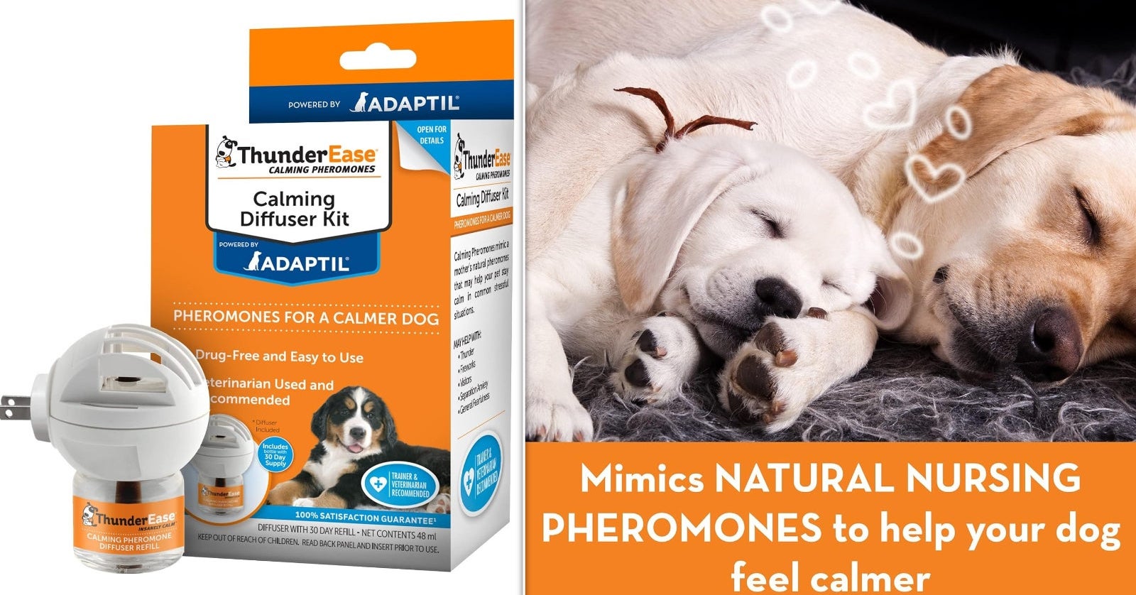 Make Separation Anxiety Easier On Your Pet With These Behaviorist-Recommended Tools