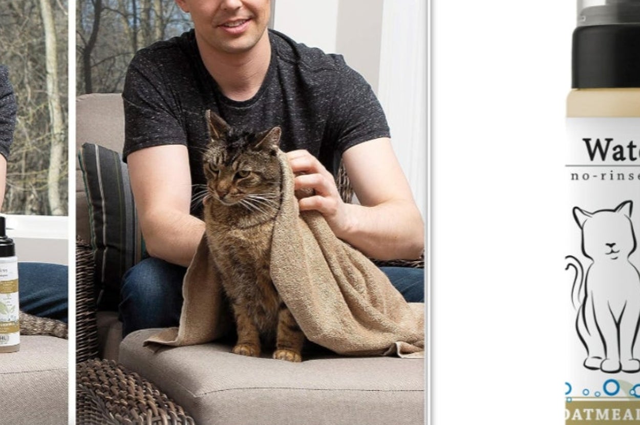If Your Cat Needs Help With Grooming, These Vet-Recommended Products Make The Process Easier