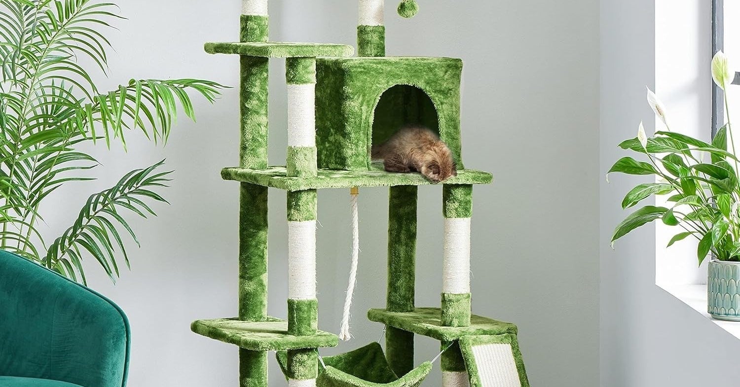 Cat Trees Are Actually Really Important For Cats' Well-Being, According To A Behaviorist
