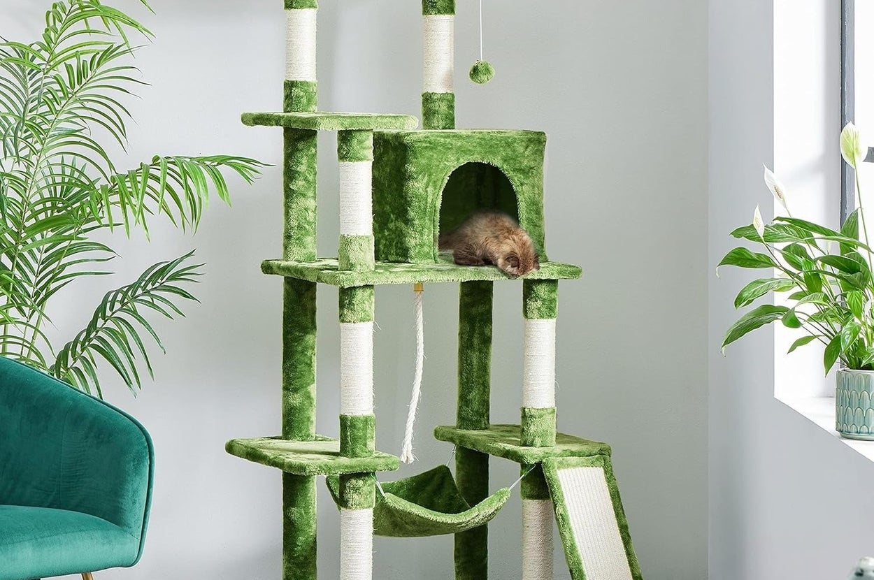 Cat Trees Are Actually Really Important For Cats' Well-Being, According To A Behaviorist