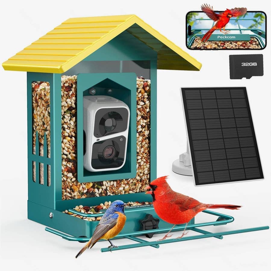 Smart Bird Feeders are Increasingly Popular
