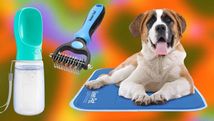Collage of a favored h2o bottle, dematting comb, and blessed canine connected a cooling mat, showcasing must-have favored attraction products