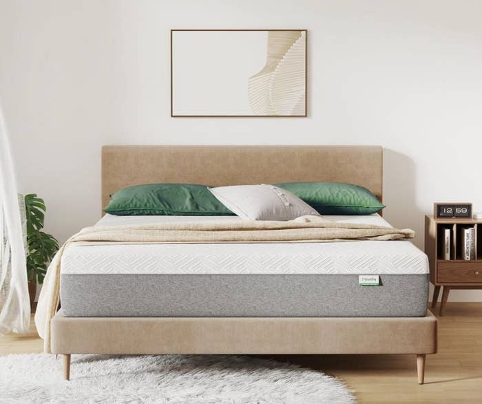 Modern chamber with a neatly made bed, featuring a stylish mattress, greenish pillows, and a minimalist creation portion connected the partition above
