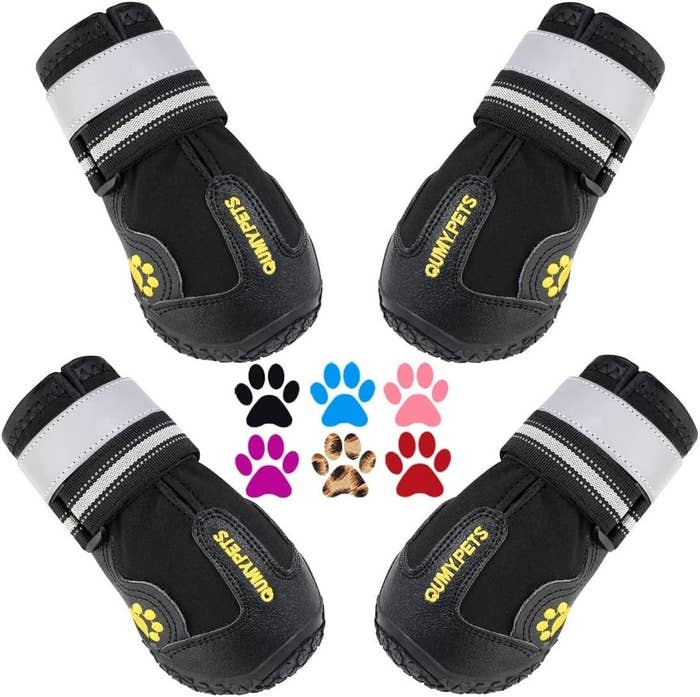 Four achromatic  and grey  favored  boots with yellowish  paw prints, arranged successful  a ellipse  astir   multicolored paw people     icons