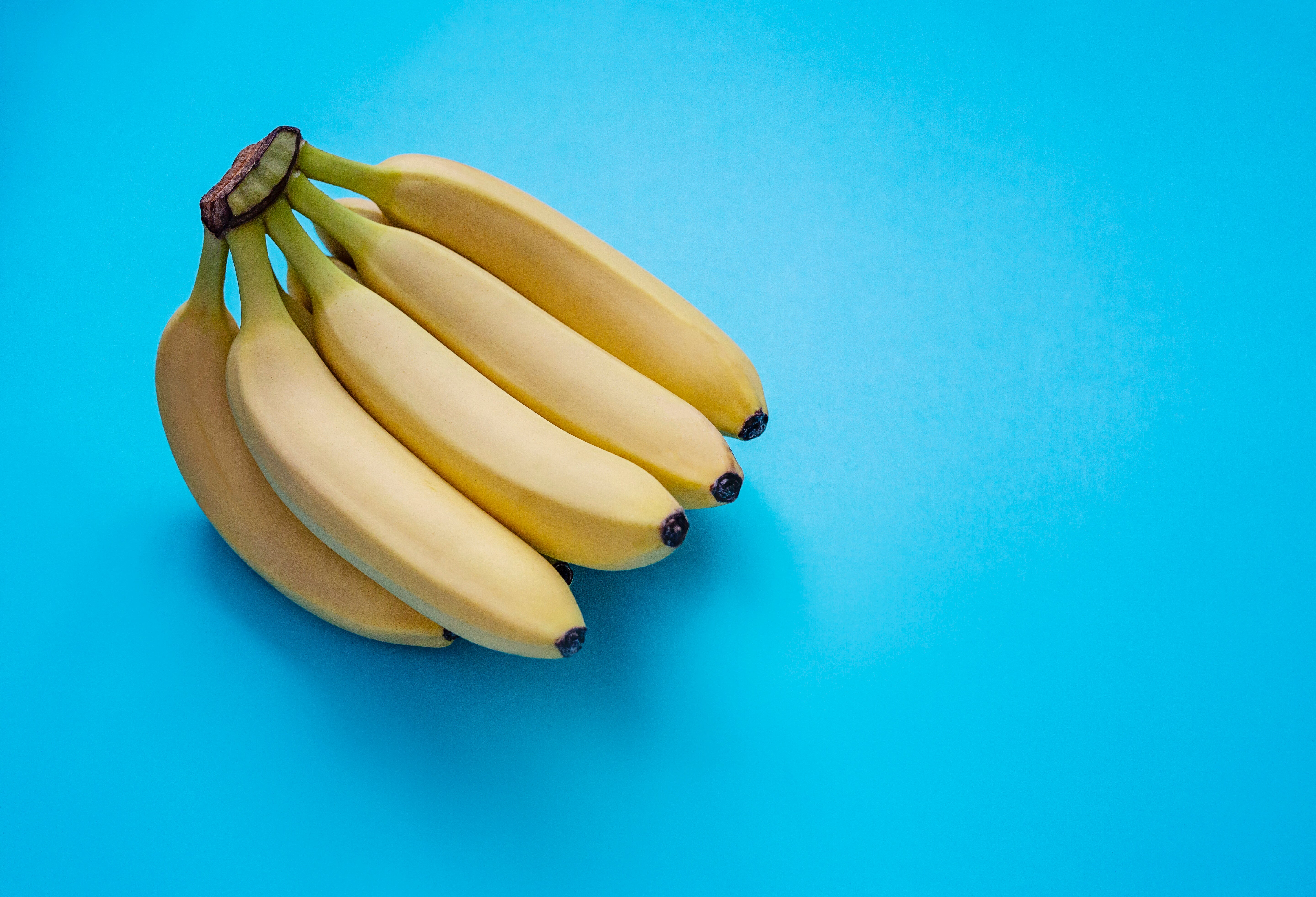 A bunch of bananas resting on a plain background