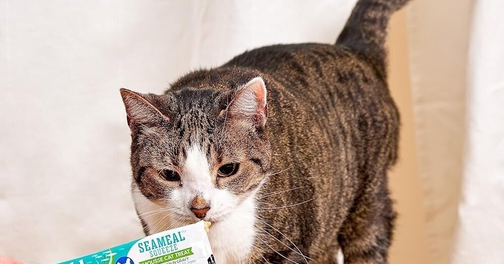 My Picky Cats Are Obsessed With These Squeezable Treats — A Vet Explains The Hype