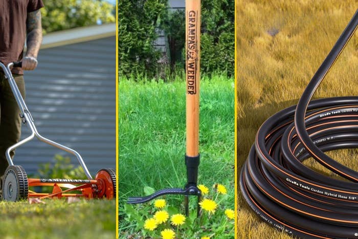 A manual tract   mower, a plot  weeder among dandelions, and coiled plot  hoses are displayed successful  a backyard setting