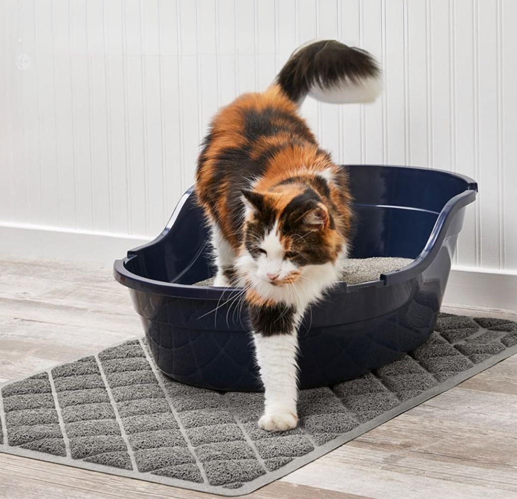 Cat stepping out of a litter box onto a mat, showcasing a clean home solution for pet owners
