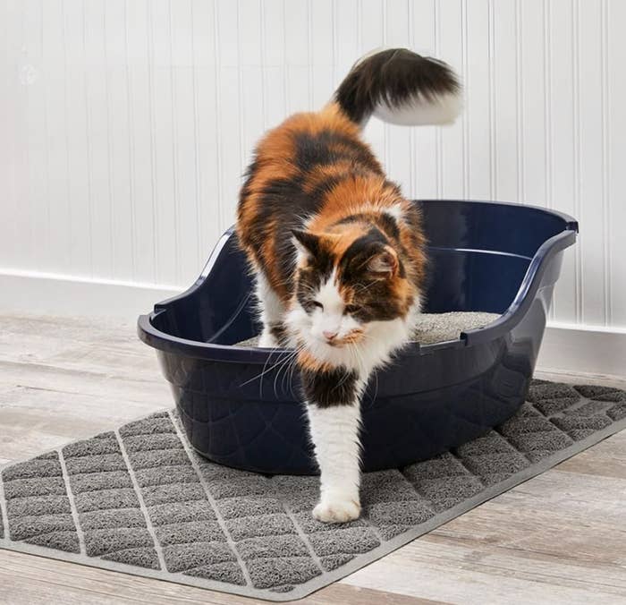 Cat stepping out of a litter box onto a mat, demonstrating a pet hygiene setup