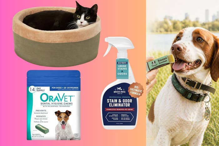  a feline  furniture  with a achromatic  and achromatic  cat, Oravet dental chews for dogs, stain eliminator spray, and a canine  holding a dainty  stick