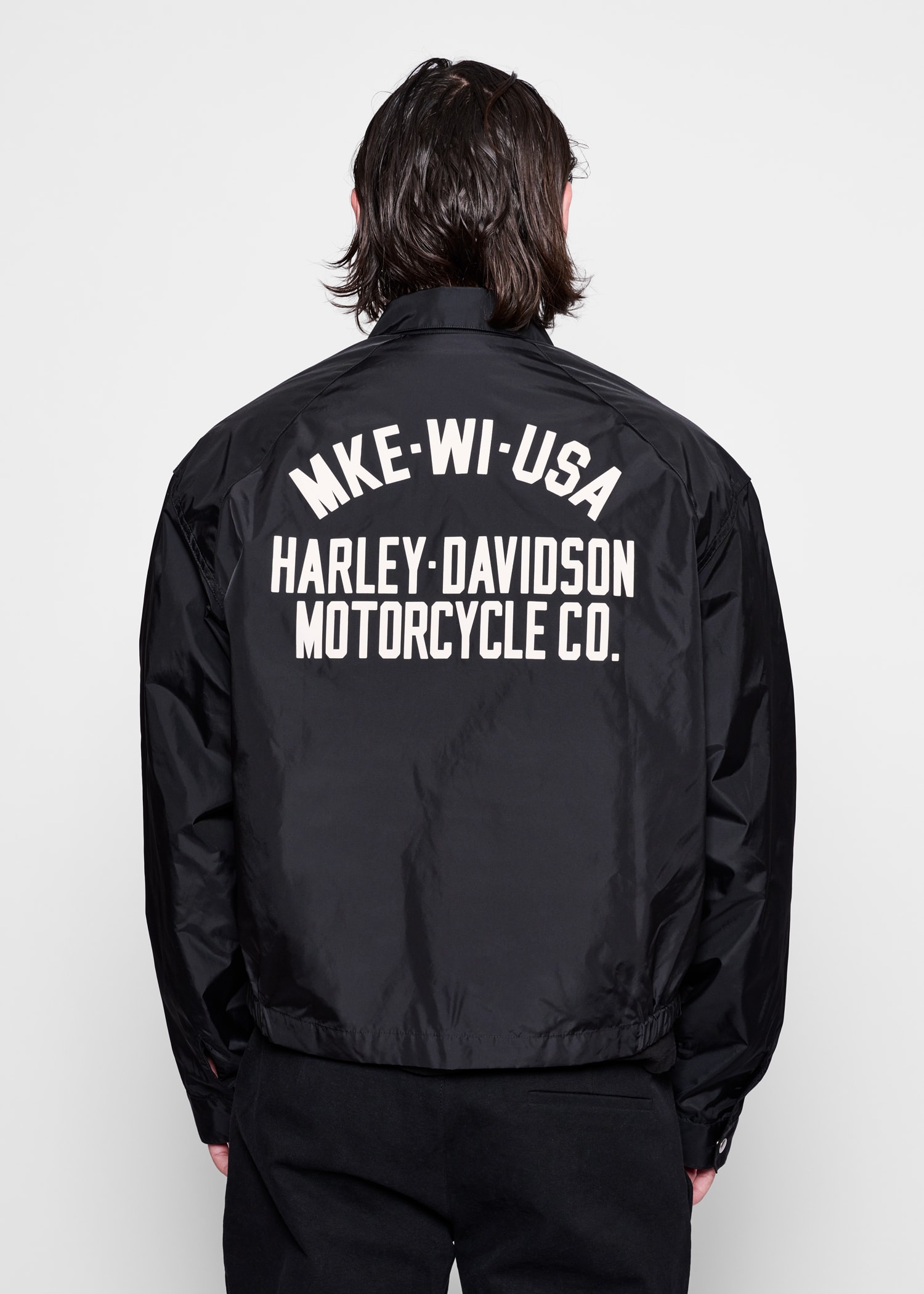 Harley Davidson model is pictured in this