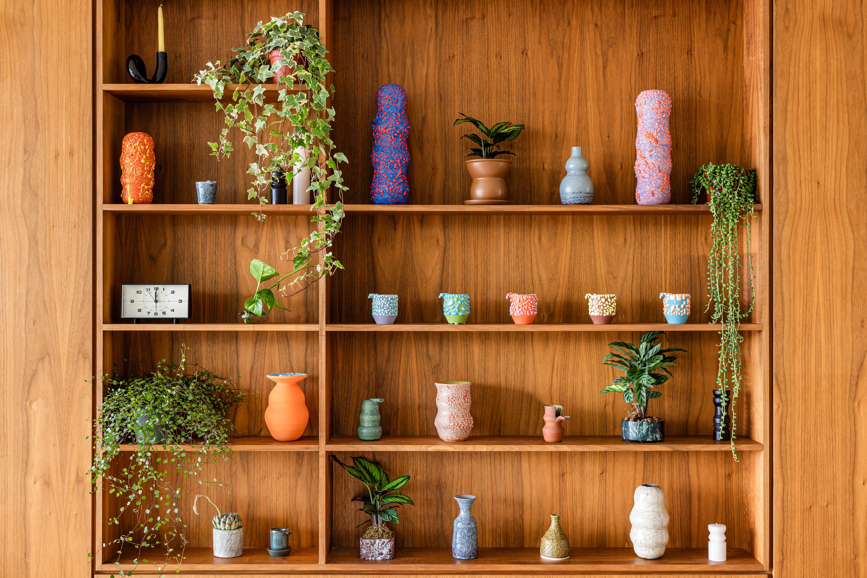 Airbnb Houseplant space is pictured