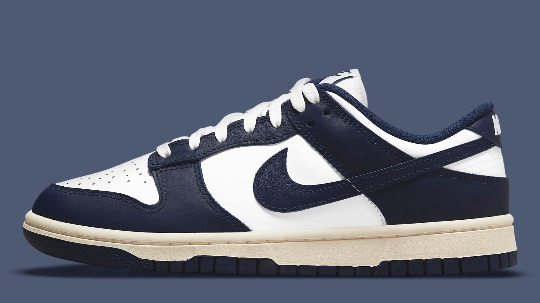 Nike Vintage Navy Dunk Low Shoes