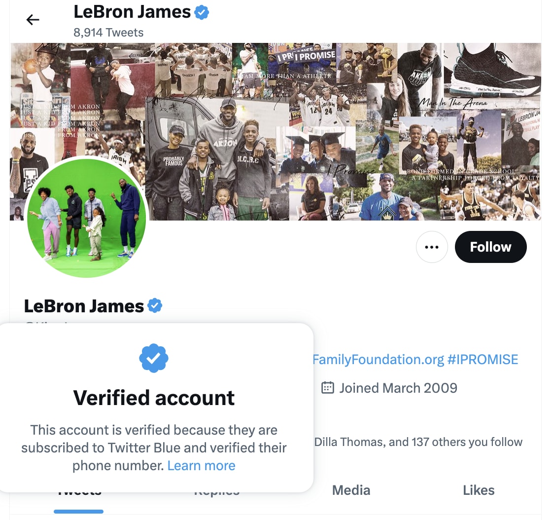 LeBron James&#x27; Twitter page with blue check