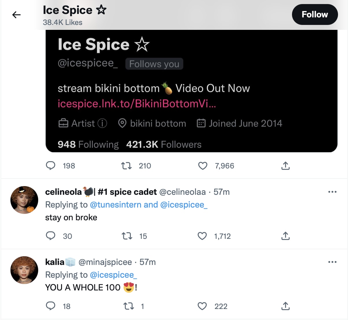 This is a photo of Ice Spice.