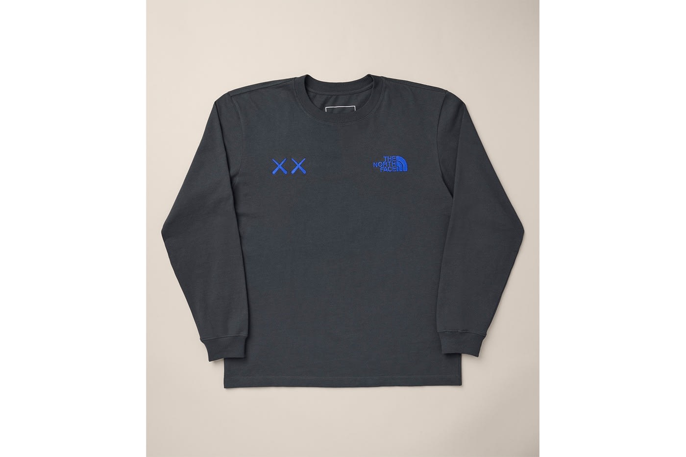 kaws x the north face long sleeve