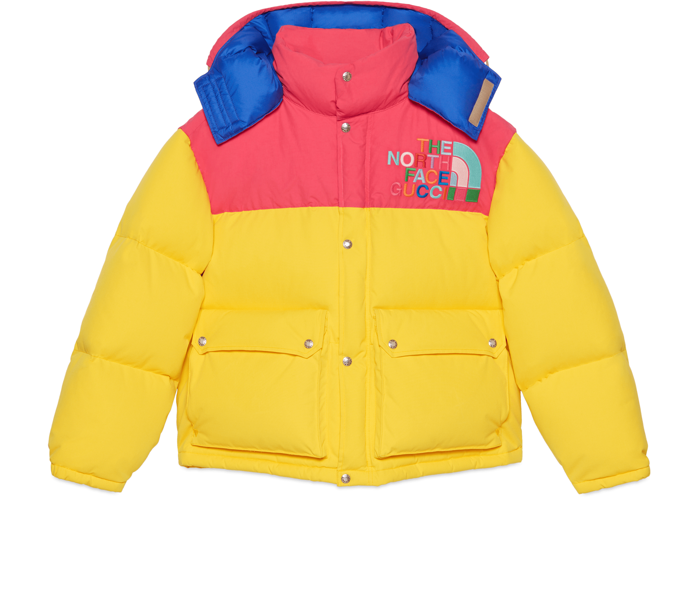 Product image for the new The North Face and Gucci collection
