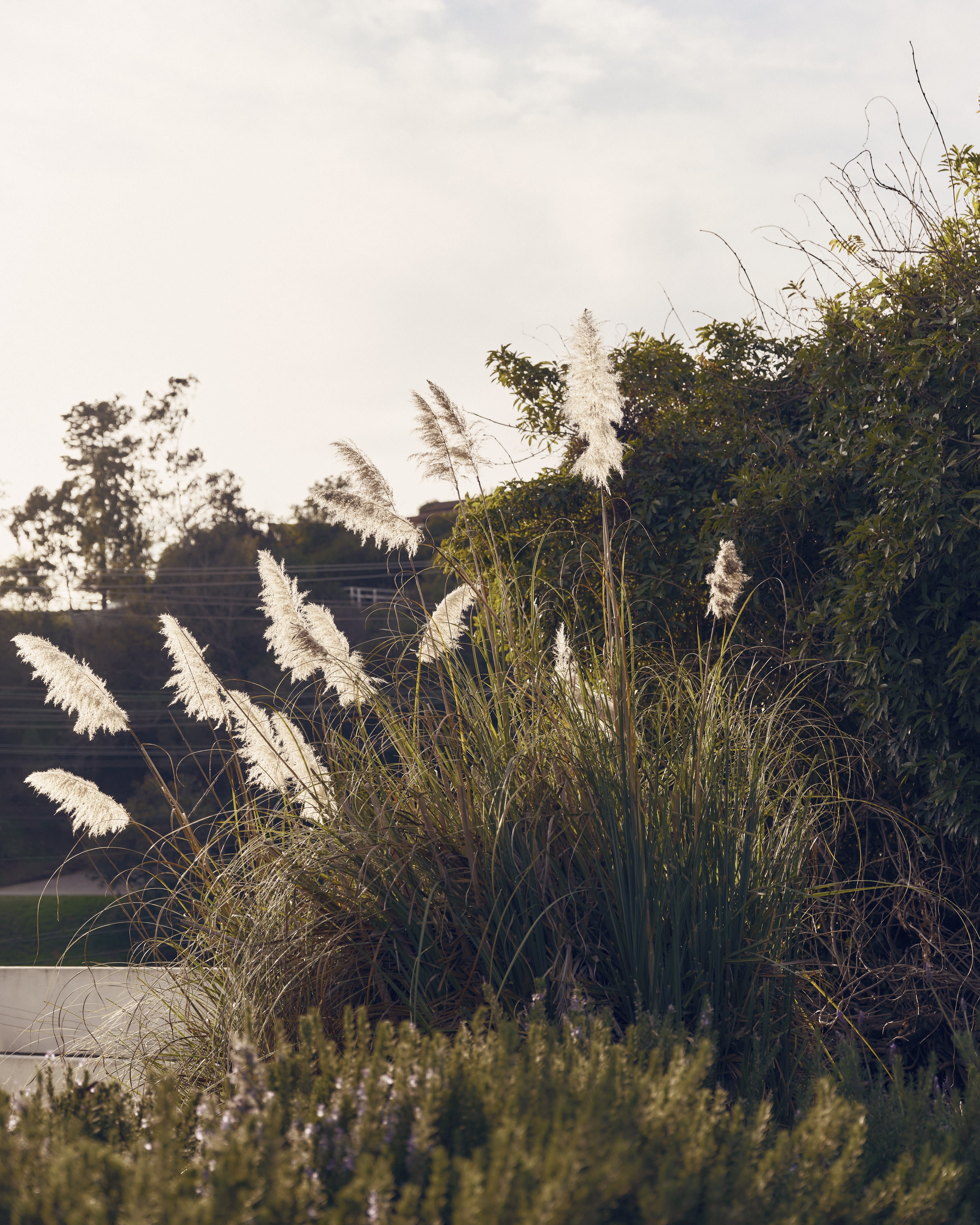 A FoG and Birkenstock collab campaign is shown