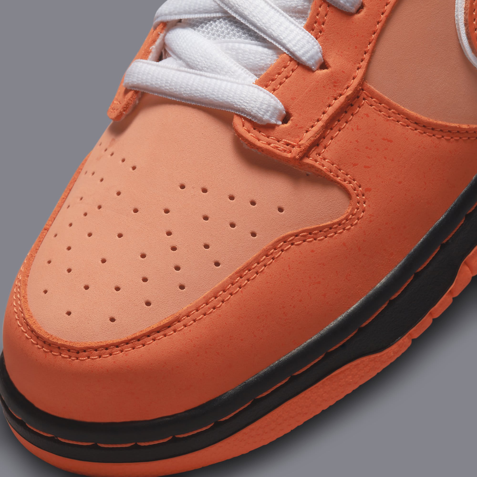 Concepts x Nike SB Dunk Low &#x27;Orange Lobster&#x27; FD8776 800 Toe