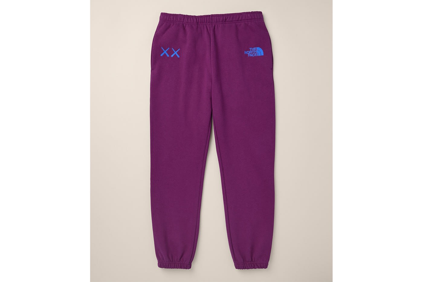 Kaws x The North Face sweat pants