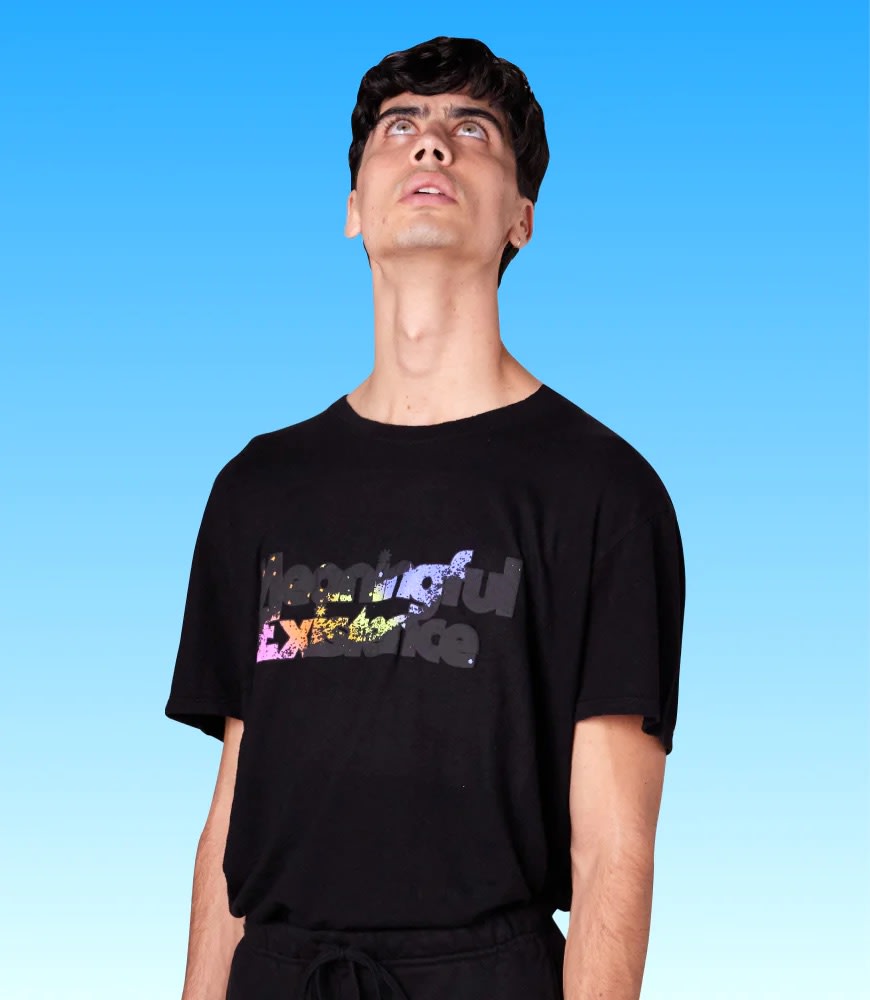 Meaningful Existence shirt