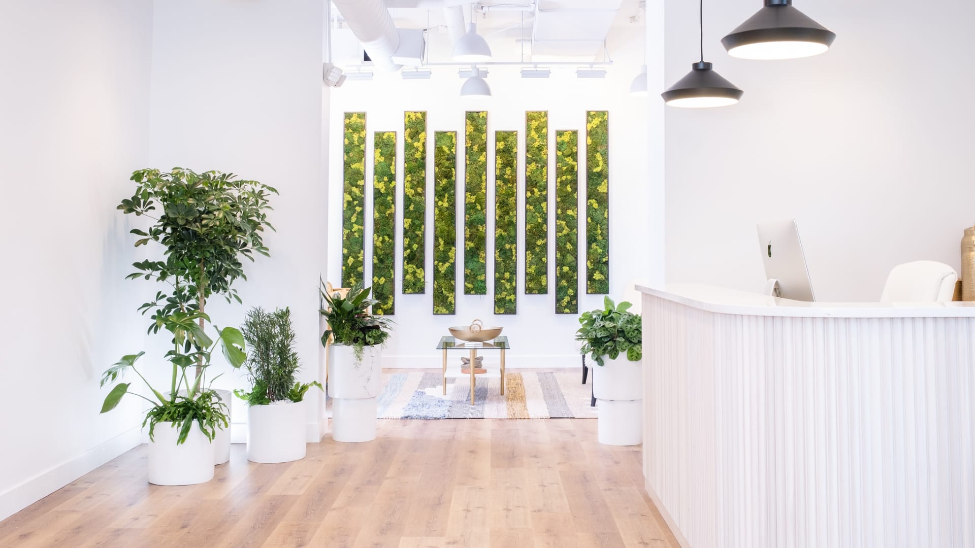 A reception room that is mostly white, with rectangular greenery panels on the wall.