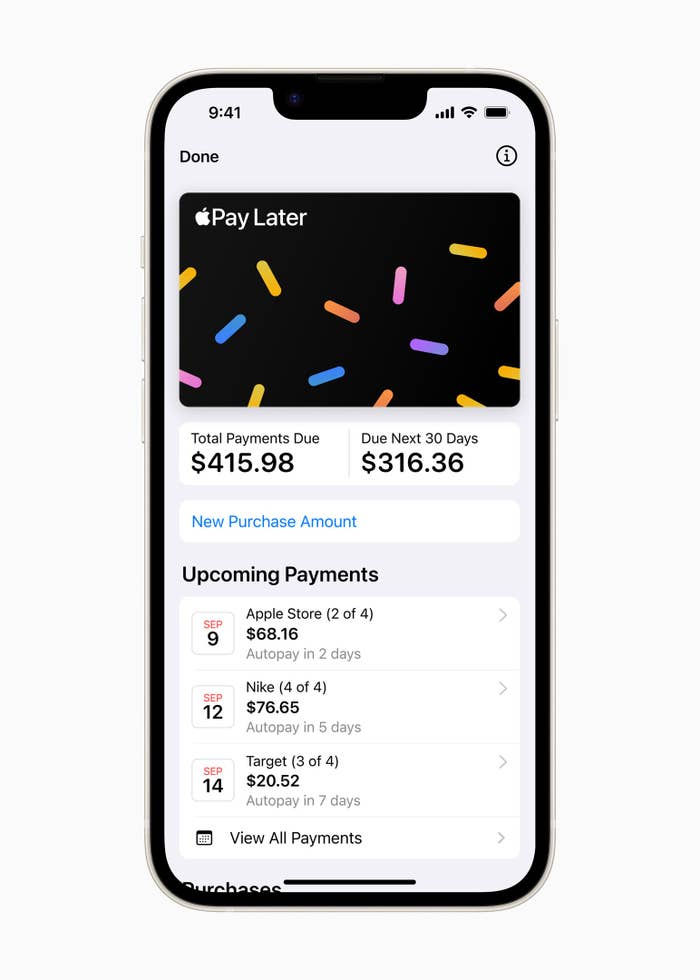 Screenshot of new Apple Pay Later Feature