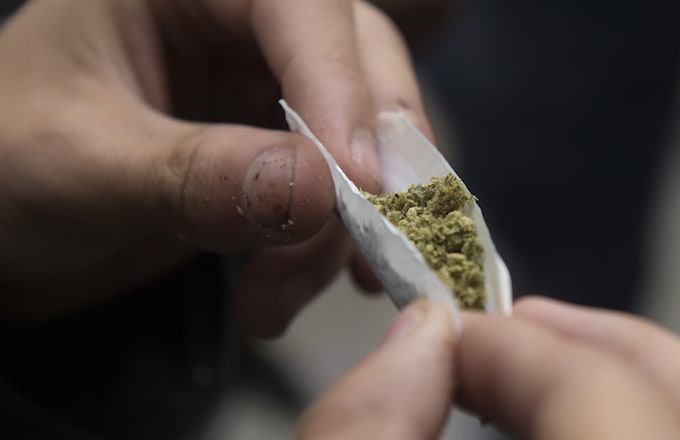 Activist rolls a joint during a protest.