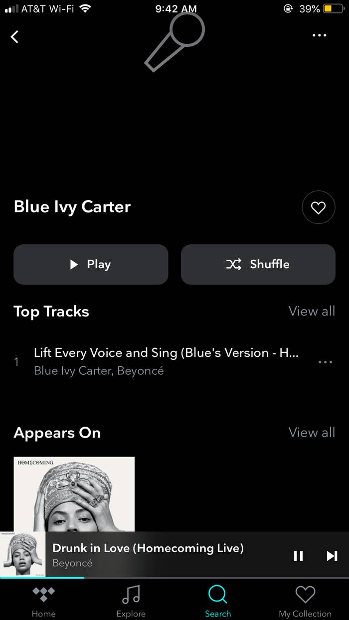 blue-ivy-screenshot