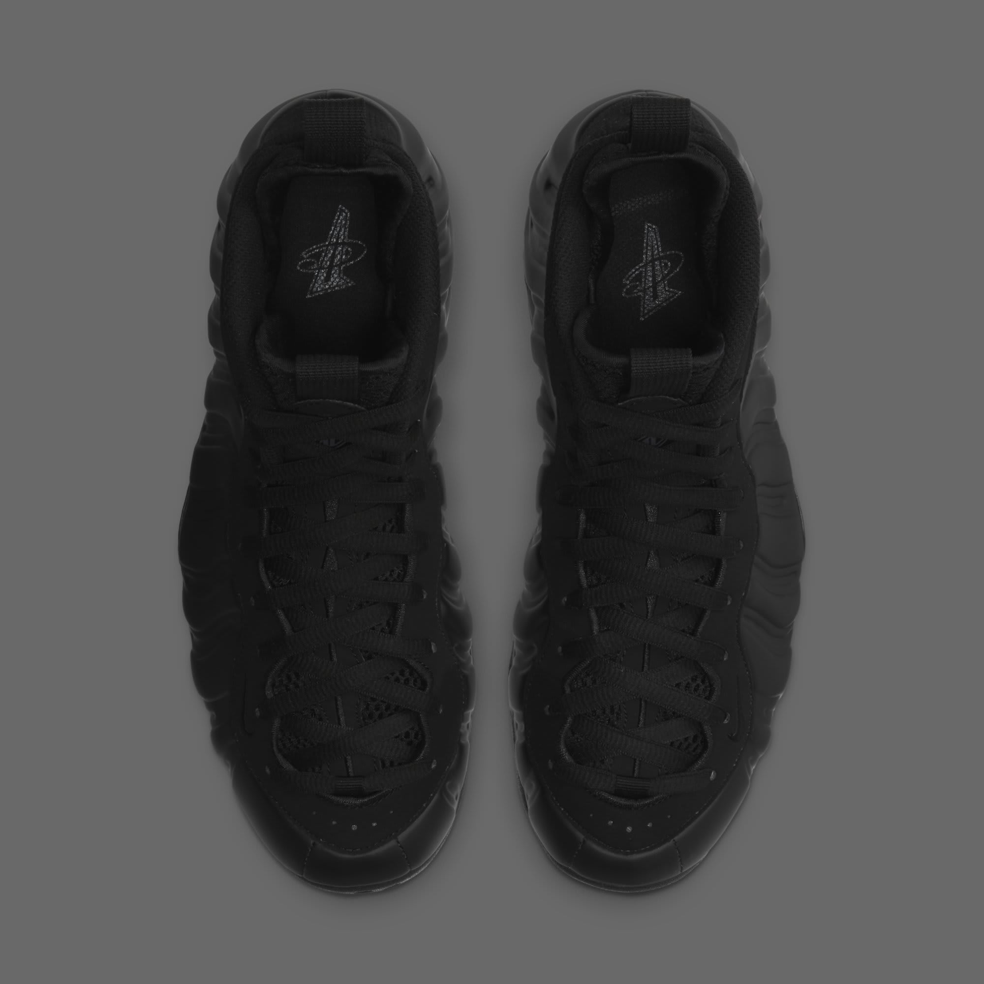 Nike Air Foamposite One &#x27;Anthracite&#x27; 314996-001 Top