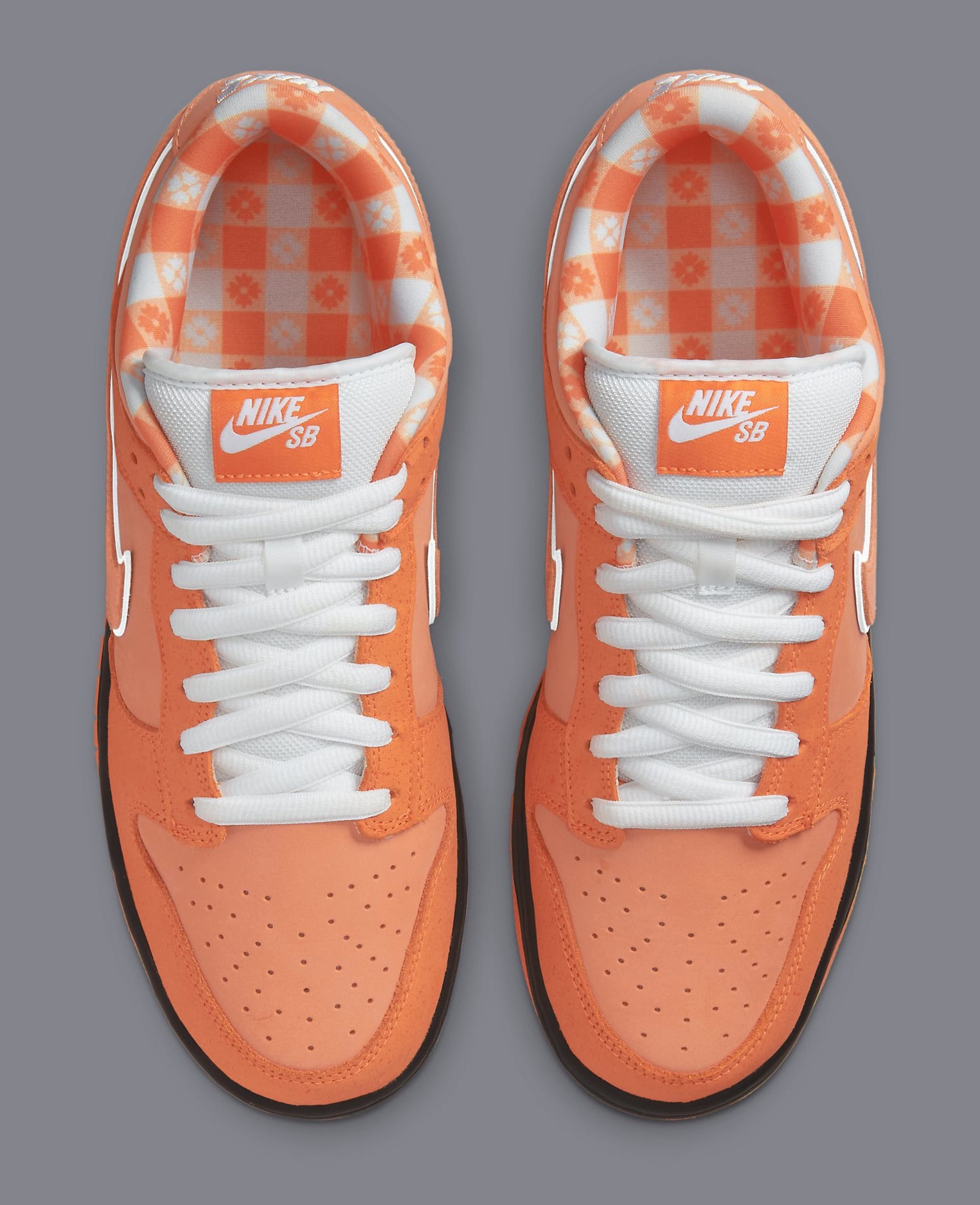 Concepts x Nike SB Dunk Low &#x27;Orange Lobster&#x27; FD8776 800 Top