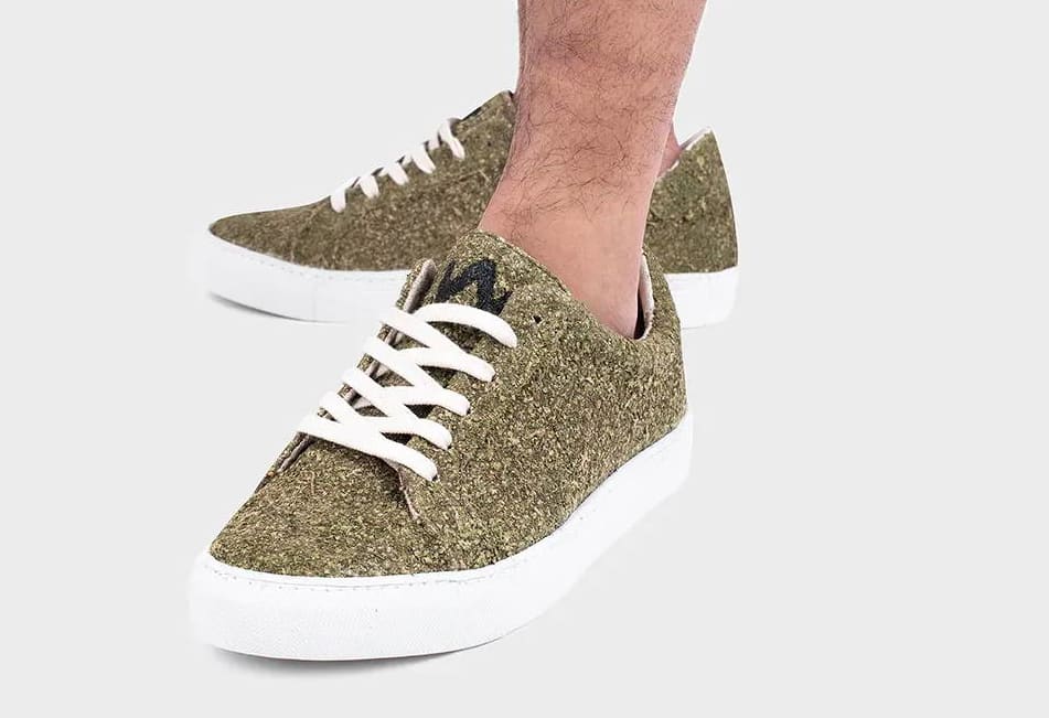 You can pot your plants in LV Speedys and Balenciaga sneakers (kind of) -  NOLISOLI