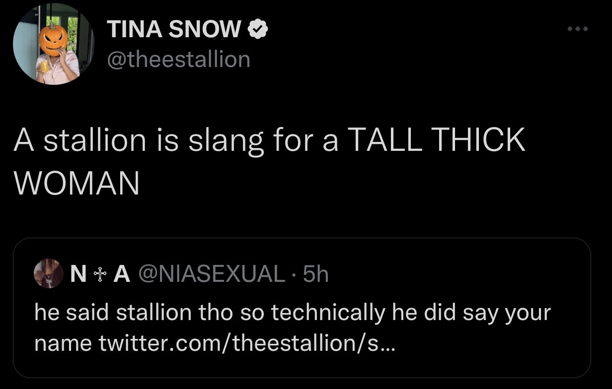 Megan Thee Stallion is seen tweeting