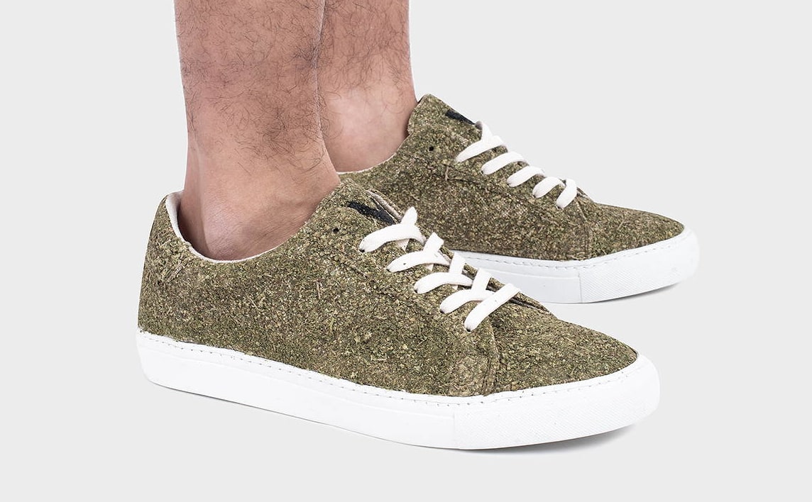 You can pot your plants in LV Speedys and Balenciaga sneakers (kind of) -  NOLISOLI