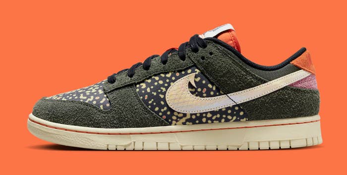 Nike Dunk Low &#x27;Rainbow Trout&#x27; FN7523 300 (Lateral)