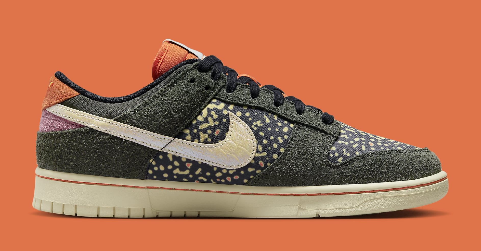Nike Dunk Low &#x27;Rainbow Trout&#x27; FN7523 300 (Medial)
