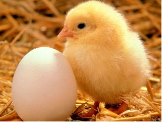 When your mother was born, she was already carrying the egg that would become you.