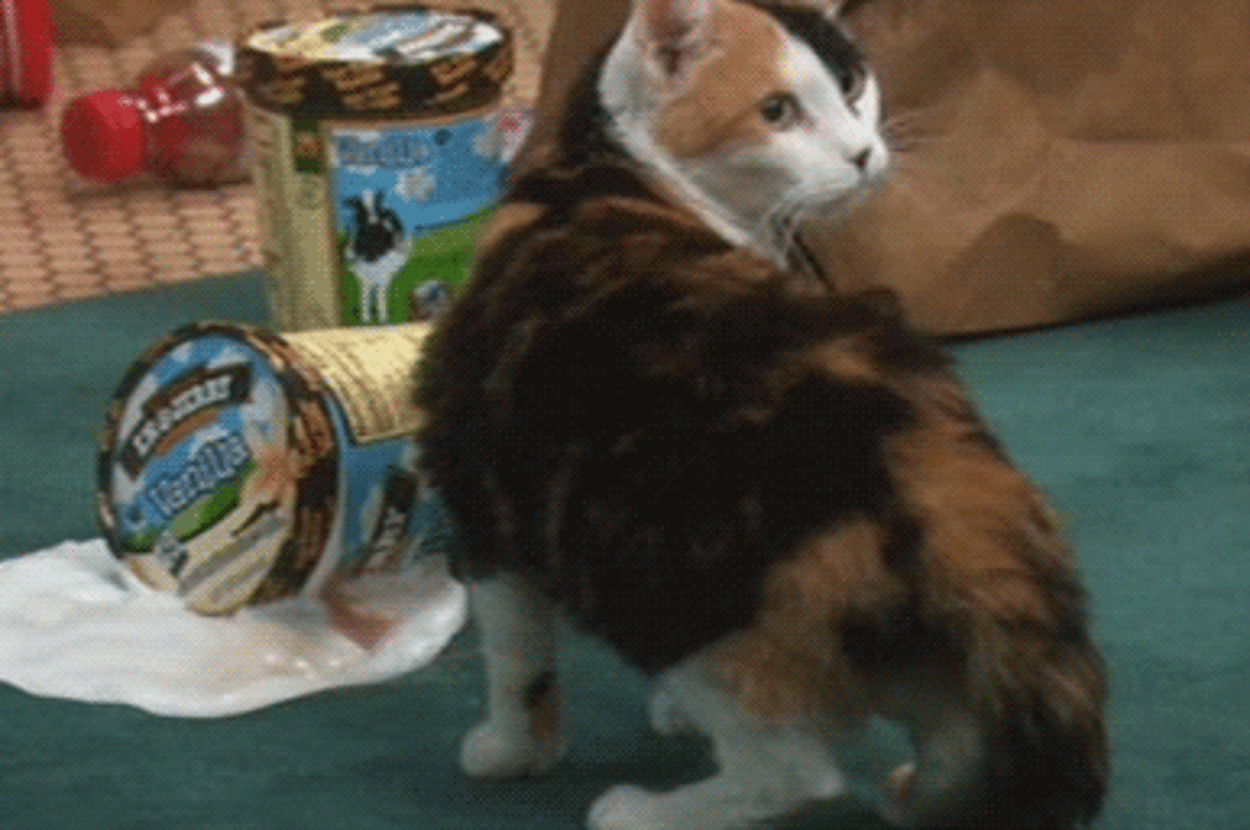 Scientists Have Discovered a New Set of Blood Groups | WIRED, image size:1250x830