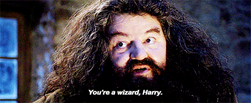 150 Brilliant "Harry Potter" GIFs That Show The Magic Never Ends
