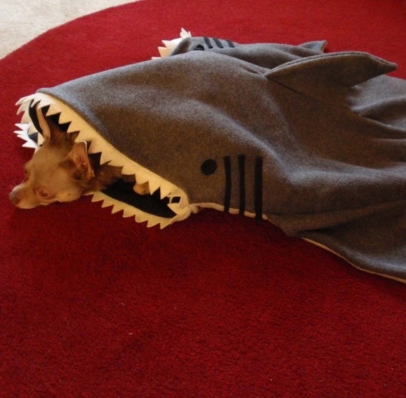 This handmade shark blanket will keep your dog cozy and warm all winter.
