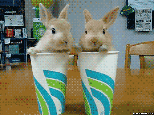 Wonder what they're smelling.