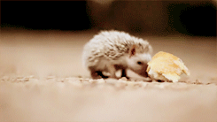 Mmmmmm. Bread.
