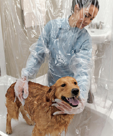 Never get inadvertently splashed again with this pet shower curtain.