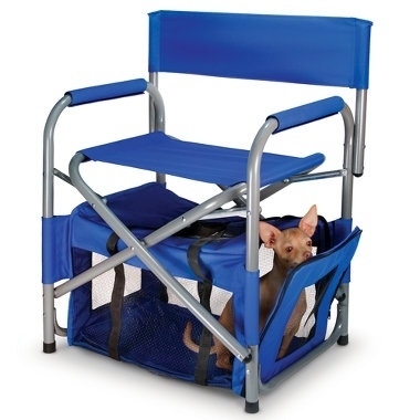 This fold-up chair with pet compartment is perfect for camping, tailgating, or just hanging in the backyard.