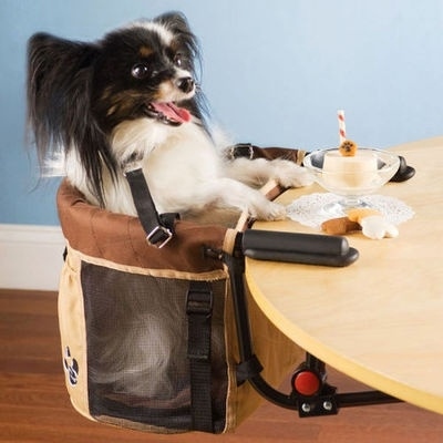 For the pup who engages in proper dining etiquette, there&#39;s a high chair.