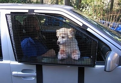 With this pet window guard, your dog won&#39;t be able to leap out the window.