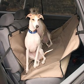 The backseat hammock will keep dogs from taking a tumble on a bumpy ride.